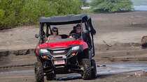  Buggy - Side by Side Family Tour 