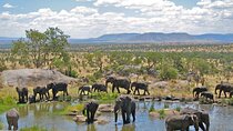 Full Day Safari From Durban to Hluhluwe-Imfolozi Game Reserve