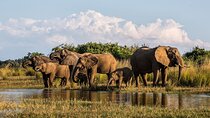 5 Day Garden Route and Botlierskop Game reserve from Cape Town