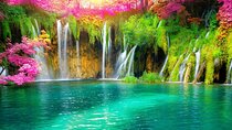 From Zadar: Full Day Private Tour to Plitvice Lakes National Park