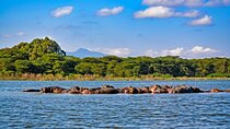 4-Day Masai Mara, L Naivasha and L Nakuru Safari