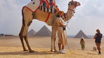 8Hours Tour Giza Pyramids,Egyptian Museum,Bazaar,Lunch&Camel Ride
