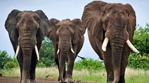 7 Day Tour Cape Town Johannesburg Kruger Park & Blyde River Canyo