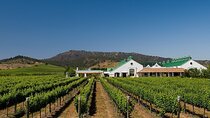 Casas del Bosque Vineyard with Lunch Menu included from Santiago