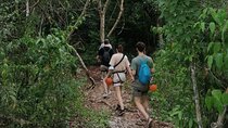 Tulum Monkey Sanctuary Tour Punta Laguna