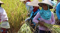 Day with a Balinese Family in a Village