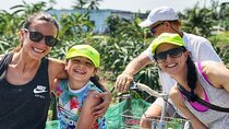 VIP NEW TOUR 2-Day: Cu Chi Tunnels & Mekong Delta Homestay 