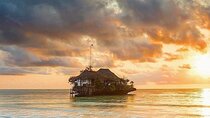 Zanzibar Dolphin Tour, Kuza Cave, Paje Beach, The Rock Restaurant, Jozani Forest