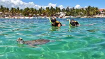 Akumal; Snorkeling and Photos with Turtles