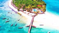 Prison Island, BlueLagoon, Starfish Tour, Rock Restaurant, Kuza Cave, Paje Beach