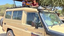 Wildlife Safari Tanzania