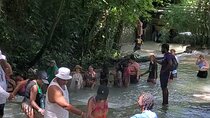 Full-Day Guided Tour to Dunns River Falls & shopping with lunch 