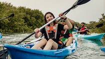 Kayak Through the Mangroves to the Purple Island