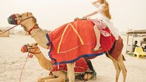 Desert Safari with Snacks and Chill at the Inland Sea