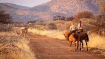Horseback Safari and Wine Tasting Private Guided Tour