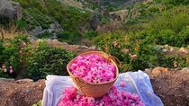 Private Oman Full Day Guided Sightseeing Tour