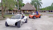 Cozumel Buggy Adventure! Round Transportation from Cancun & Playa Del Carmen
