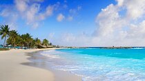 Buggy Adventure at Cozumel! Round Transportation from Cancun