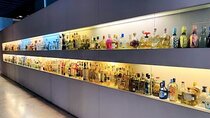 Guided Tour to the Tequila and Mezcal Museum