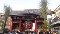 Visit Tokyo City in Group with the Italian Speaking Guide Full Day