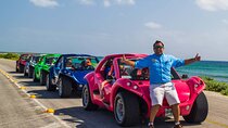 Buggy Adventure in Cozumel + Transportation from Cancún 