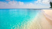 Jeep Ride at Cozumel! Snorkel + Round Transportation from Playa Del Carmen