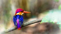 Bondla Wildlife Sanctuary with Lunch in Spice Plantation in Goa