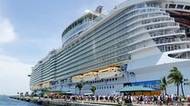 Immersive Rome Discovery: Pier-to-City VIP Tour
