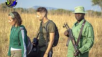 Two-Day Mikumi Adventure: Game Drives & Park Walks
