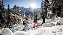 Winter Alpine Adventure
