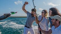 4-Hours of Deep Sea Fishing in Punta Cana