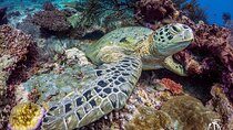 Kota Kinabalu Leisure Scuba Diving Trip (3 Dives)