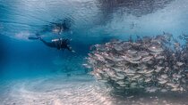 (2 Dives) Discover Scuba Diving Kota Kinabalu