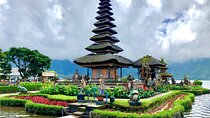 Banyumala Waterfall And Best Of North Bali Private Guided Tour 