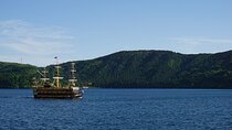 Private Hakone Sightseeing Tour with English Speaking Driver