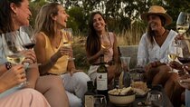 Tasting in two wineries + full lunch. Transfer included