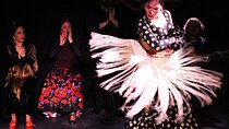 Madrid Local Tapas, Wine Bars & Flamenco Show