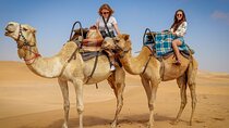 Dubai Red Dune Camel Trekking, Desert Safari and BBQ Dinner 
