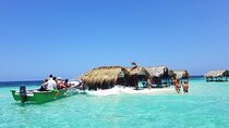 Private Tour to Paradise Island with Snorkel & Manatee Sanctuary