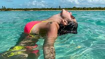 Underwater Snorkel Experience day in Cozumel with Transportation from Cancún