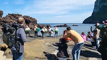 3days Private Free Schedule Tour a lot of Experience Driver 