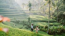 Ubud All-Inclusive Private Day Tour