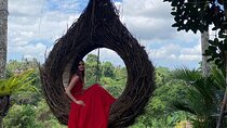 Ubud Day Tour - Private Ubud Tour Guide - Best Of Ubud Tour