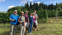 Montepulciano wine tour with a sommelier