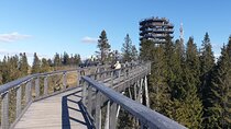 Full-Day Private Tour of Slovakia Treetop Walk and Zakopane