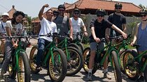 Gianyar Waterfall eBike Private Tour 