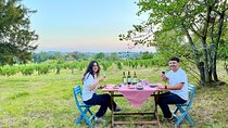 Private 2cv tour in the vineyards and Wine tasting