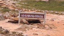 Cape of Good Hope-Cape Point & Penguins from Cape Town