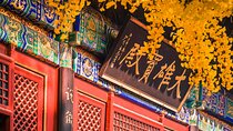 Hongluo Temple Private Day Tour with Lunch Option