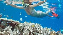 Full-Day Tour in Nusa Penida Island + Snorkeling Experience 